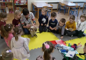 Widok na grupę dzieci obserwujących badanie psa przez panią weterynarz.